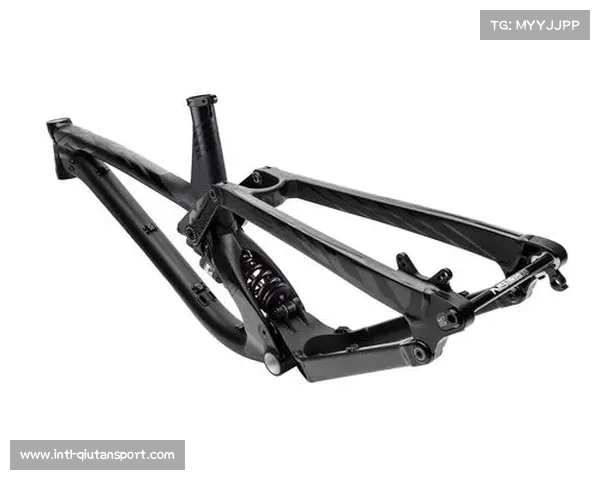NS Bikes与Rondo命运未知 7Anna公司申请破产引发行业震动 NS Bikes与Rondo命运未知 7Anna公司申请破产引发行业震动