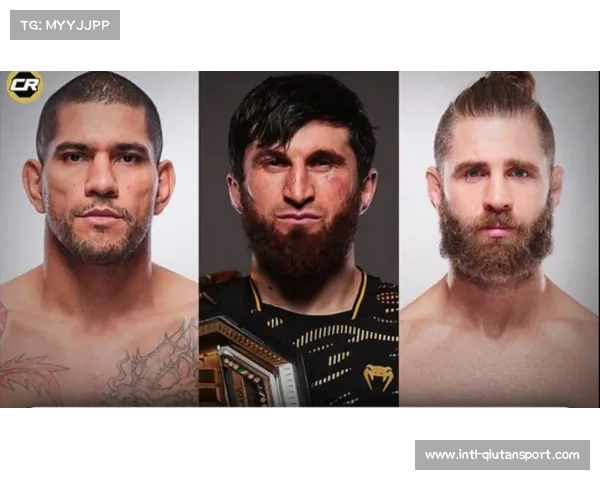 【UFC综合格斗·赛后·结果--亚历克斯·佩雷拉UFC320首回合KO马戈梅德·安卡拉耶夫，重夺轻重量级冠军